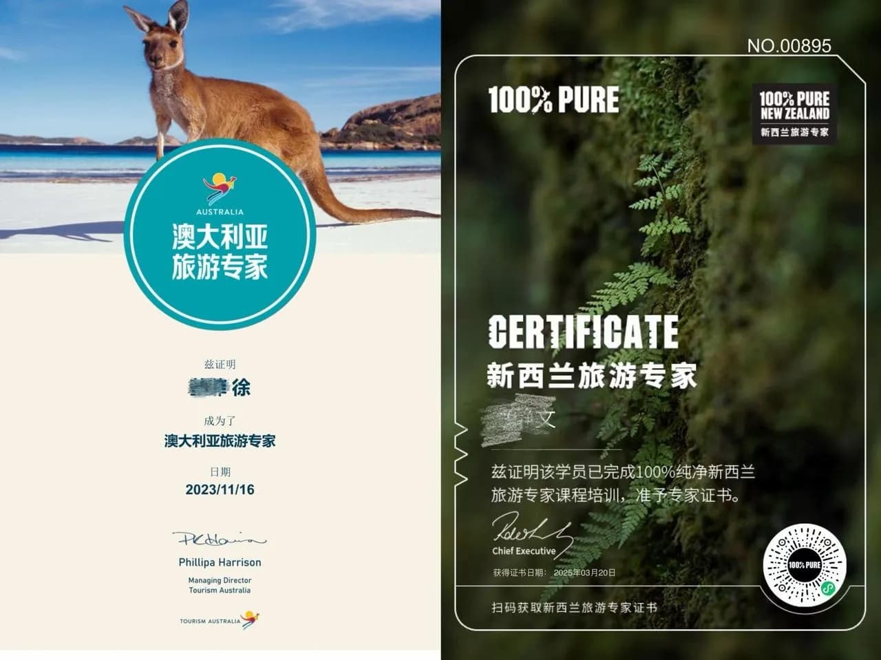 旅游局官方背书